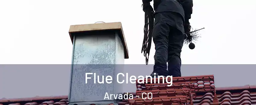 Flue Cleaning Arvada - CO